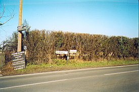 Bild: (15958 Bytes)