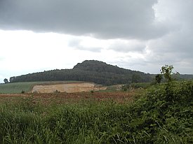 Bild: (14229 Bytes)