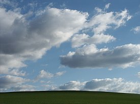 Bild: (10879 Bytes)