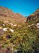 Tagestour ''La Gomera''