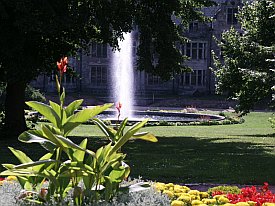 Bild: (23986 Bytes)