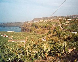Bild: (24339 Bytes)