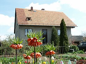 Bild: (22482 Bytes)