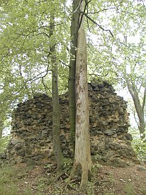 Bild: (27464 Bytes)