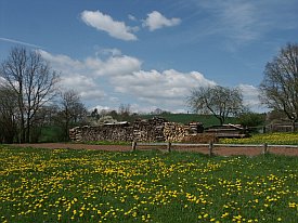 Bild: (20641 Bytes)