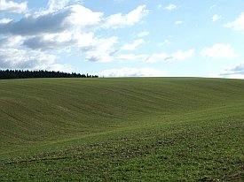 Bild: (15035 Bytes)