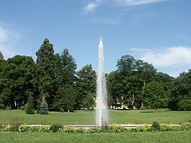 Bild: (17375 Bytes)